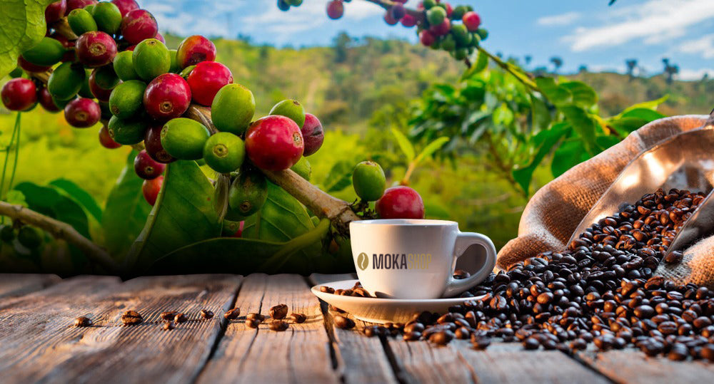Acquista caffè on-line Italia