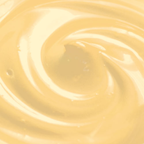 Chocolat Blanc portions individuelles 32 g