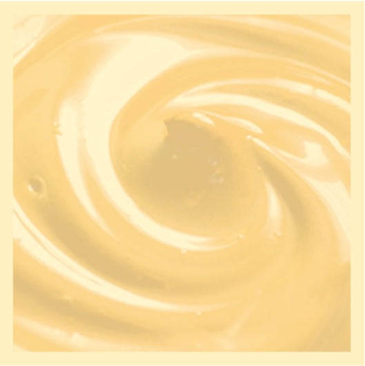 Chocolat Blanc portions individuelles 32 g