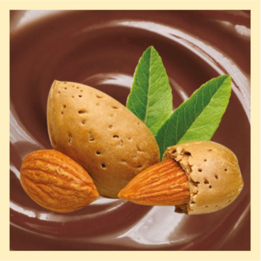 Chocolat aux Amandes portions individuelles 32 g